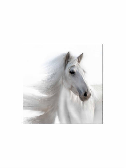 宝音丨 收藏级礼品照片 商品图0