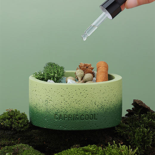 旷野晶石香薰礼盒香薰晶石-纪念日百货门店同款169600036 商品图1