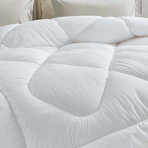 【6楼】富安娜云享冬厚被，牌牌价980元，活动价299元 商品图5