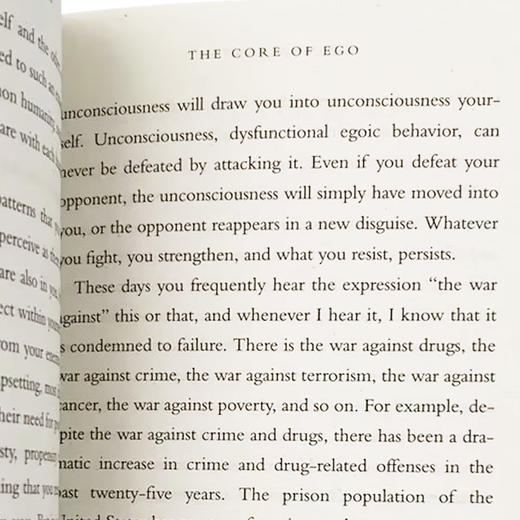 新世界 灵性的觉醒 英文原版 A New Earth Create a Better Life 奥普拉俱乐部荐 英文版进口英语书籍正版 商品图4