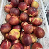 脆甜油桃，约2.5斤/份，软硬两吃 商品缩略图2