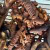 黑猪卤猪肉系列| 村里杀的黑猪制作而成，猪蹄，猪皮，猪头肉，各种内脏，香而不腻，加了一点盐，不是很咸，会有黑色毛根，介意慎拍⭐️顺丰快递 商品缩略图12