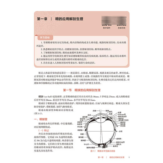 眼耳鼻咽喉口腔科护理学 第5五版 十四五规划教材 全国高等职业教育专科教材 陈燕燕 毕小琴 主编 9787117376181 人民卫生出版社 商品图4