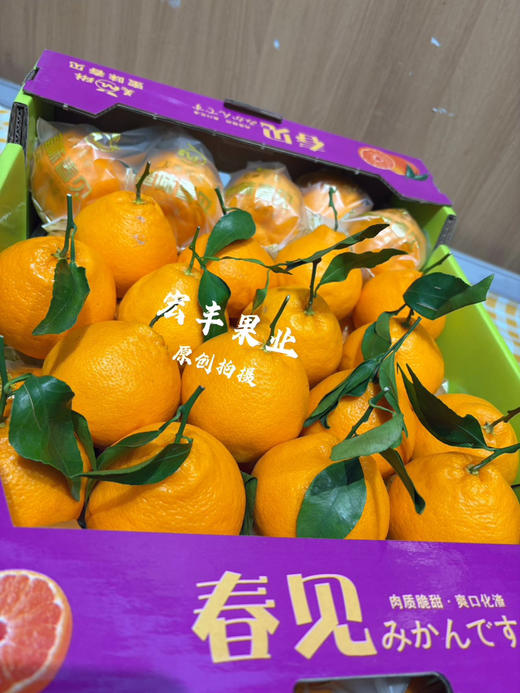 宏丰精选 春见耙耙柑，口感甜，肉质细嫩、味道浓郁，活动价6.98元一斤 商品图2