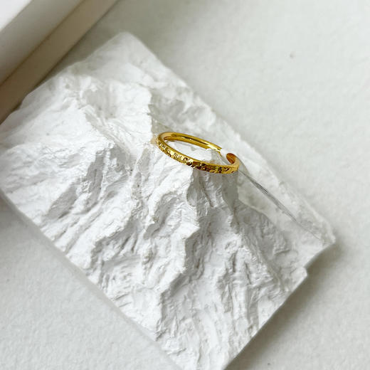 素圈简约戒指-纪念日百货门店同款169253716 商品图1