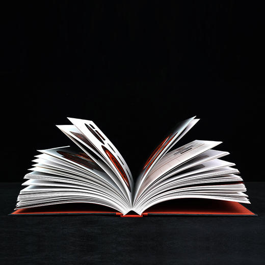 长沙马王堆汉墓陈列 商品图4