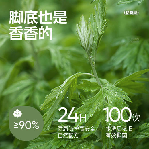 【超值6双装】拾袜记 防臭精油袜/中筒袜礼盒 男款/女款 棉袜吸汗透气 耐磨舒适 多色可选 商品图5