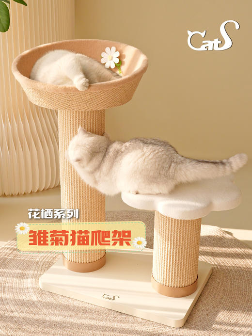 雏菊花栖爬架 超耐抓剑麻实木猫抓板大小体型猫通用 商品图2