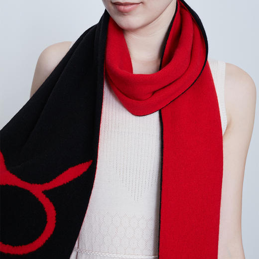 十二星座羊绒围巾 SJF17P903 商品图3