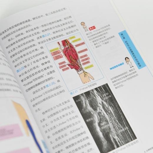 基于运动解剖学的功能评估指南 上肢篇 运动系统功能损伤障碍评估 运动系统损伤与障碍检查技术 肩肘手指关节功能障碍评估 商品图3