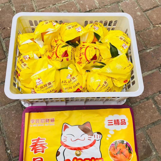 招财猫春见家庭装（大框）毛重12斤 商品图4