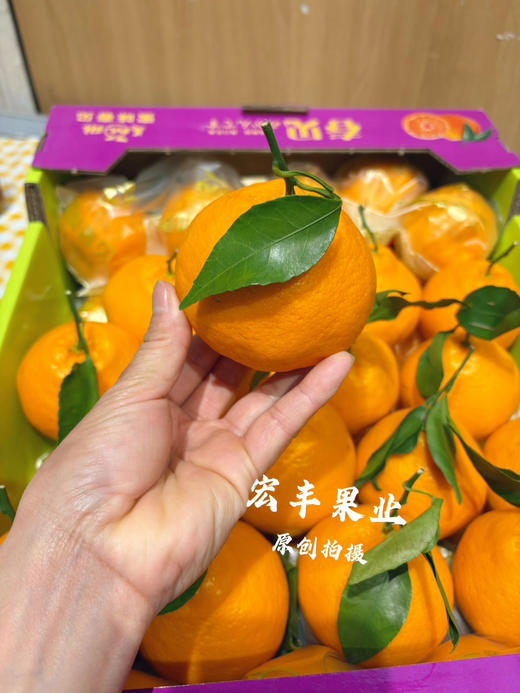 宏丰精选 春见耙耙柑，口感甜，肉质细嫩、味道浓郁，活动价6.98元一斤 商品图6