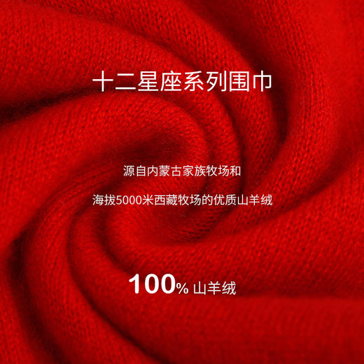 十二星座羊绒围巾 SJF17P903 商品图2
