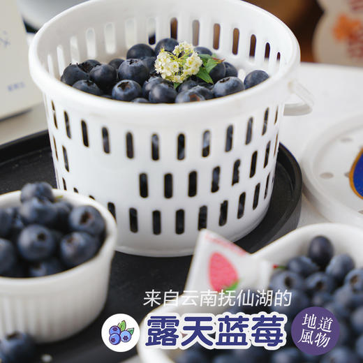 露天花香蓝莓 商品图6