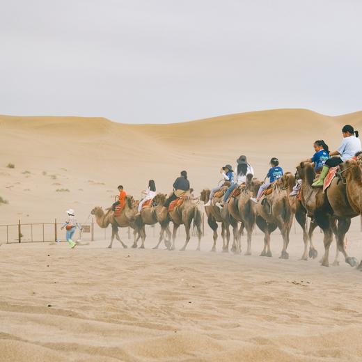 五一特期|何以敦煌，丝绸之路，点亮孩子文化自信之路 5天4晚 商品图6