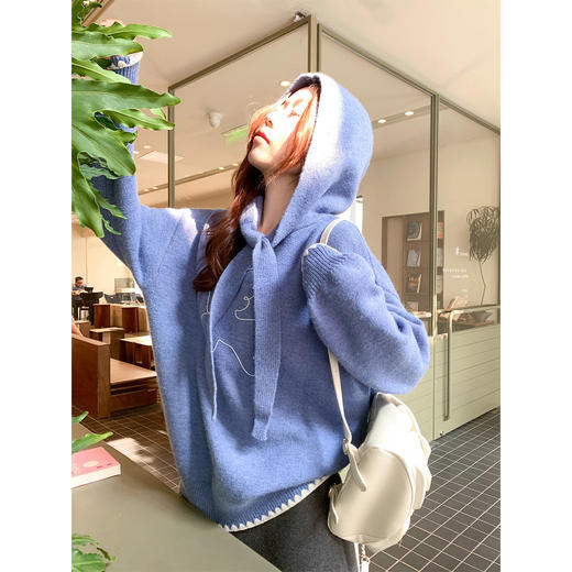 <曾小咸推荐> 2.26现货秒杀 ！微信超特价！韩系连帽毛衣 日常229.99 立减120 秒杀109.99！！ 商品图4