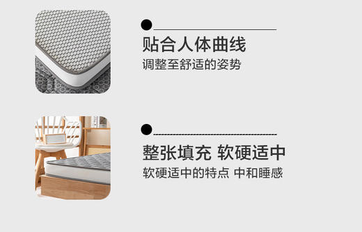 VP922153091007 博洋家纺 【爆款】乳胶复合床垫加厚记忆棉家用卧室学生宿舍床垫褥四季软垫 【9CM  150*200cm】 商品图3