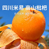 【米易枇杷】树熟枇杷皮薄肉厚鲜甜多汁 果型饱满色泽金黄 商品缩略图0