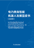电力具身智能机器人发展蓝皮书 商品缩略图1