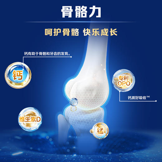 乐铂HMO 3段幼儿配方奶粉12-36个月808g 商品图5