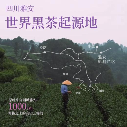 【38抢先购×28天轻装上阵计划🍃】辣木叶玫瑰黑茶2盒+厚朴太子参贴3盒2️⃣9️⃣8️⃣套组（新老包装随机发） 商品图7