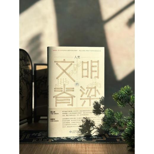 人类文明的脊梁：力学视角下的结构与工程 商品图1