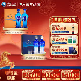 【组合装】42度海之蓝礼盒装480mLx2瓶＋46度天之蓝礼盒装480mLx2瓶