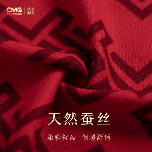 【甄选年礼文创佳品❗️简洁大方配色雅致】2026马年总台春晚围巾骐骥驰骋礼盒装CMG总台文创礼物送礼。jd 商品图4