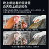 品宁蜂眼18号家用监控WiFi款360度旋转全彩夜视人形侦测 商品缩略图3