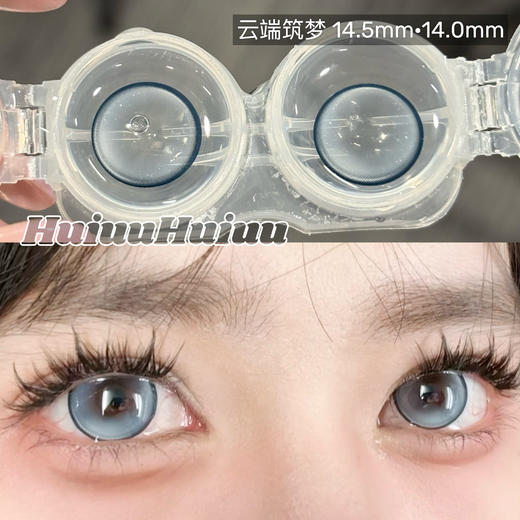 【月抛大直径】GURUUCON-牧羊诗人/云端筑梦/庄周梦蝶-14.5mm【月抛 0-800度 无525/575】 商品图2