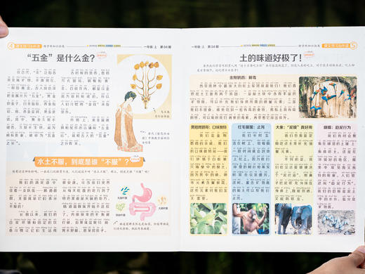 【小学语文报“断货王”】《大语文知识画报》2026年春季学期征订|半年26期紧贴教材考点|1-6年级跨学科知识拓展、语文素养提升必备，加赠干货满满“提分秘籍” 商品图11
