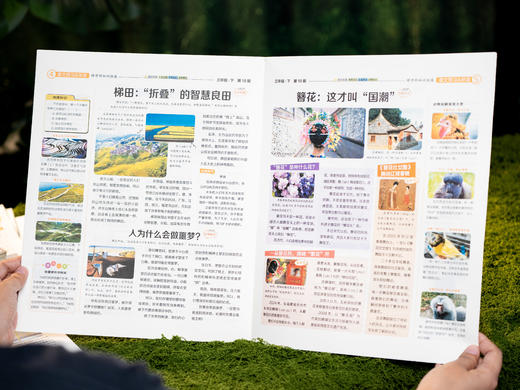 【小学语文报“断货王”】《大语文知识画报》2026年春季学期征订|半年26期紧贴教材考点|1-6年级跨学科知识拓展、语文素养提升必备，加赠干货满满“提分秘籍” 商品图9