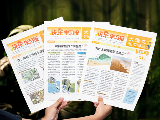 【小学语文报“断货王”】《大语文知识画报》2026年春季学期征订|半年26期紧贴教材考点|1-6年级跨学科知识拓展、语文素养提升必备，加赠干货满满“提分秘籍” 商品图3