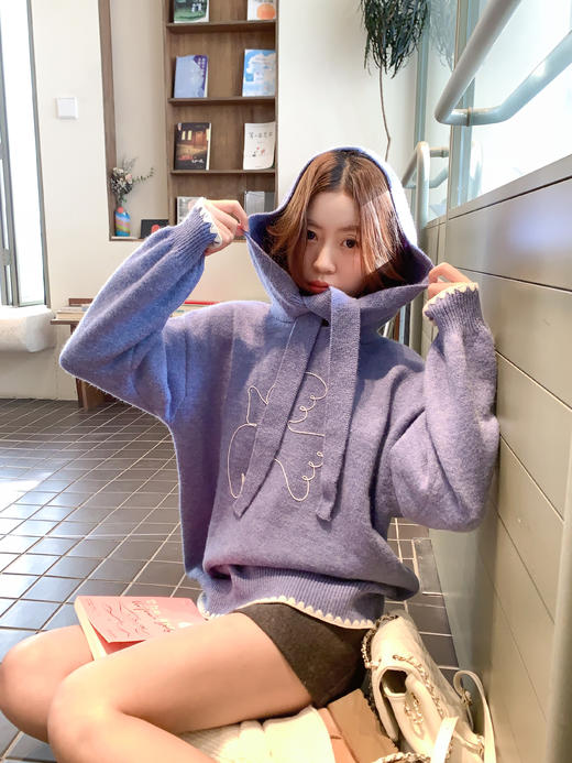 <曾小咸推荐> 2.26现货秒杀 ！微信超特价！韩系连帽毛衣 日常229.99 立减120 秒杀109.99！！ 商品图8