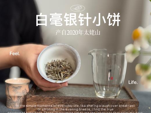 【年货节重磅推荐】2020白毫银针饼，稠、滑、糯、淳、浆感，回甘里落英缤纷，饱满丰腴 商品图3