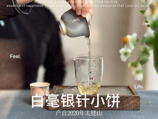 【年货节重磅推荐】2020白毫银针饼，稠、滑、糯、淳、浆感，回甘里落英缤纷，饱满丰腴 商品图5