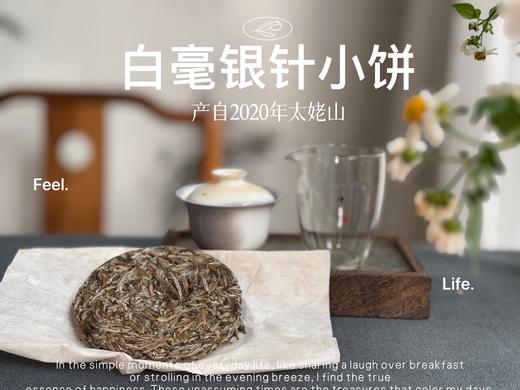【年货节重磅推荐】2020白毫银针饼，稠、滑、糯、淳、浆感，回甘里落英缤纷，饱满丰腴 商品图2