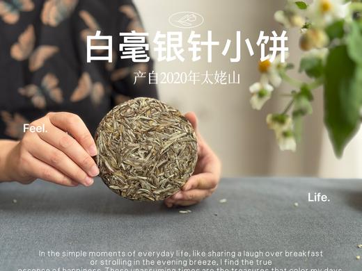 【年货节重磅推荐】2020白毫银针饼，稠、滑、糯、淳、浆感，回甘里落英缤纷，饱满丰腴 商品图0