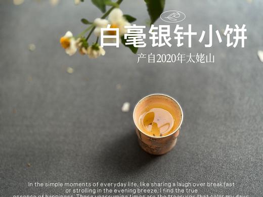 【年货节重磅推荐】2020白毫银针饼，稠、滑、糯、淳、浆感，回甘里落英缤纷，饱满丰腴 商品图7