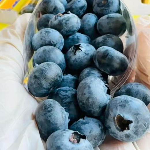 【蓝莓天花板｜空运到货】花香浓郁•18mm+•超甜脆爽云南L25蓝莓品种金砖6合1装200g×6盒（共1.2kg）✅ 果分足，嘎嘎绿。超新鲜。 商品图8