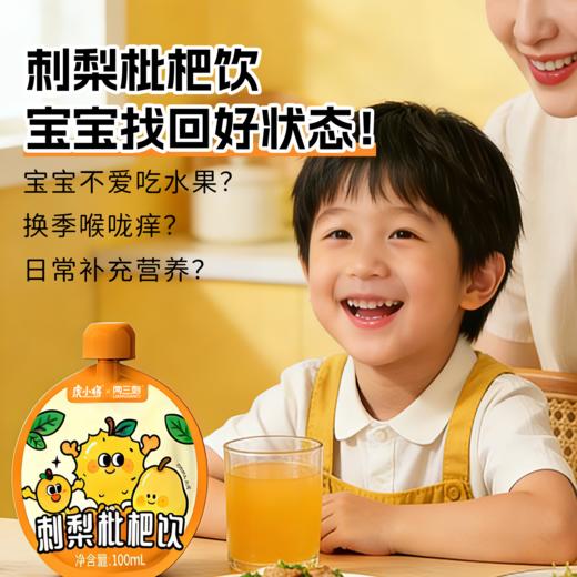 两三刺 刺梨枇杷饮 100ml*10袋/盒 商品图2