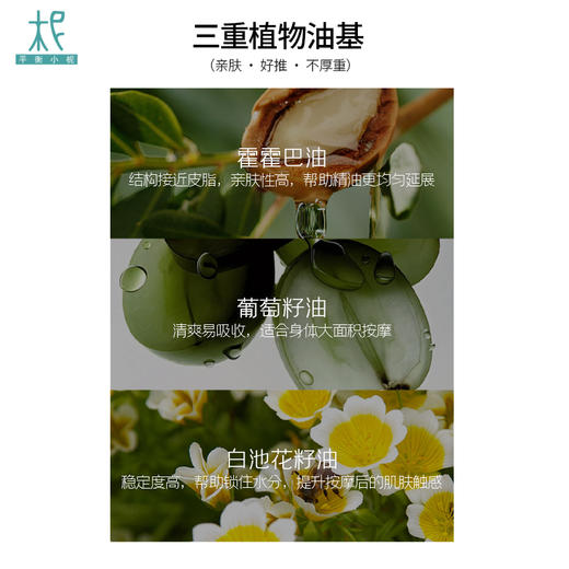 平衡小柅 艾蒿生姜按摩油30ml   暖热 商品图1