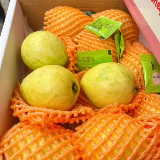 【奶油+芭乐】=别人瘦身饿到发慌，我吃着芭乐畅想酸甜[色]热量低还饱腹，瘦身不再是苦行僧，而是一场甜蜜的奔赴到货 ⁠‌﻿‎  ​⁠‎﻿‎​ 商品图8