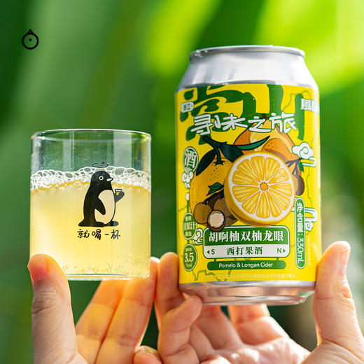 企鹅市集|风味屋Tasteroom 甘蔗马蹄/栀子花沙糖桔/尔滨雪松冻梨/金城杏皮茶西打酒 寻味之旅系列 精酿啤酒 商品图9