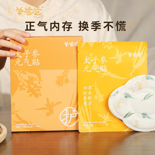 高壮壮系列 【太子参元气贴】考试季|草本敷贴 内养元气 给身体贴点底气 商品图4