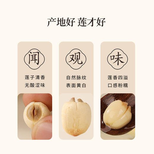 【白莲子 】湖南湘潭产地去芯莲子250g/罐  优质原材 甘平下火降燥温养口感粉糯清甜  商品图10