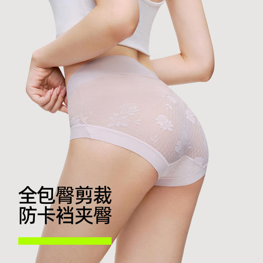 【新品上新】有棵树性感透气收腹抗菌桑蚕丝裆高腰蕾丝内裤女士三角裤3条装-U5030 商品图3