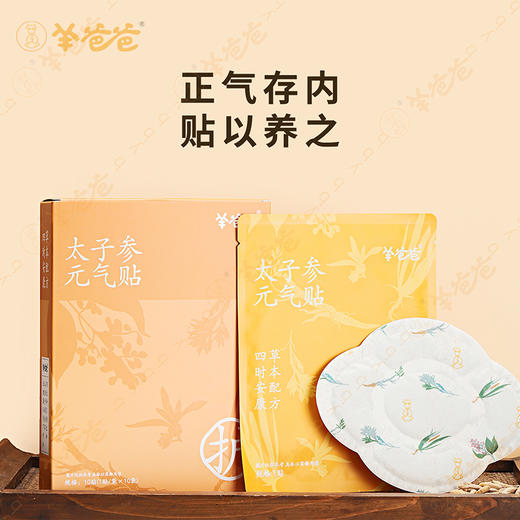高壮壮系列 【太子参元气贴】考试季|草本敷贴 内养元气 给身体贴点底气 商品图2