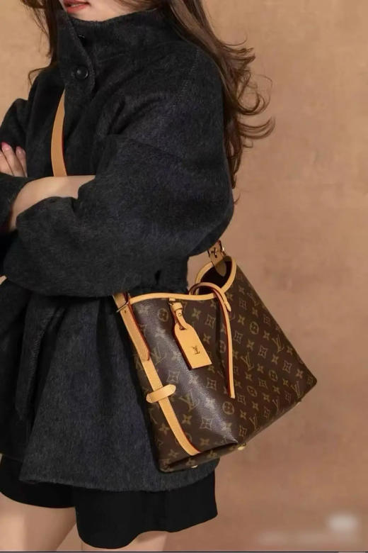 LV 老花 carryall 小号 斜挎包 商品图3