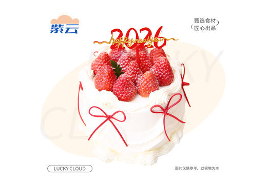 新年款 红运当头 新年吃它，寓意鸿运当头事事开挂 商品图0